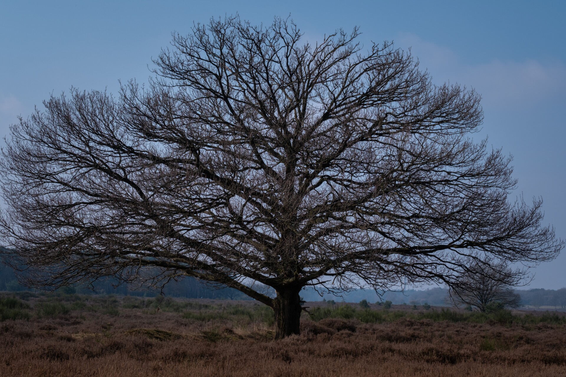 What Else maart 2025    Anne Kaere Fotografie 17 kopie