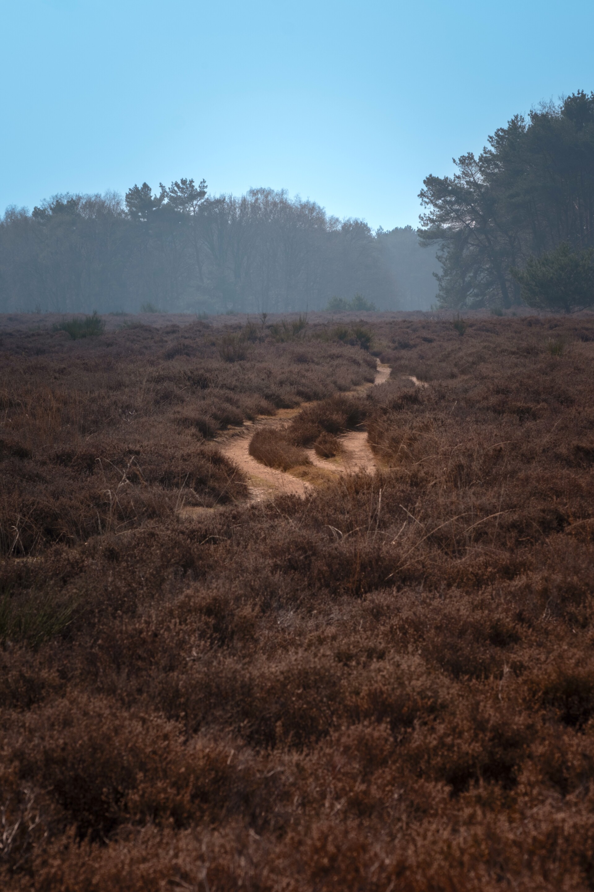 What Else maart 2025    Anne Kaere Fotografie 4